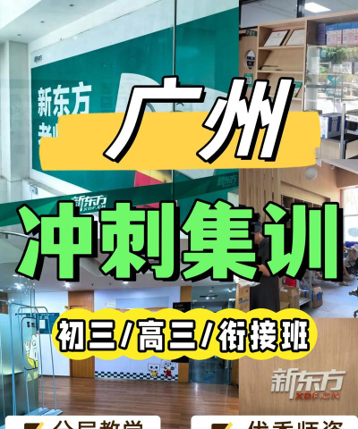 新东方高考冲刺班怎么样