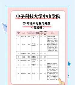 电子科技大学中山学院2024年在贵州各专业录取分数线