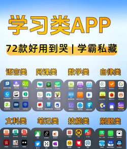 大语文网课哪个好
