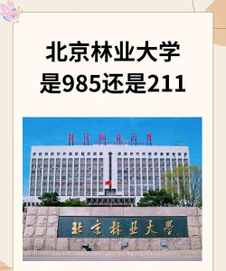 北京林业大学是一本吗