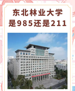 东北林业大学是211吗