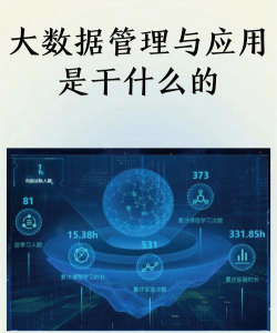 大数据技术与应用学的是什么