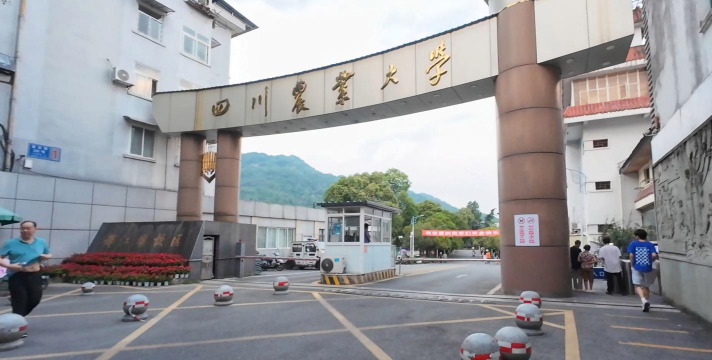 四川农业大学有哪些校区