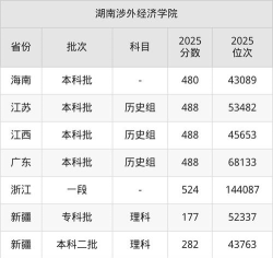 高考多少分能上湖南涉外经济学院