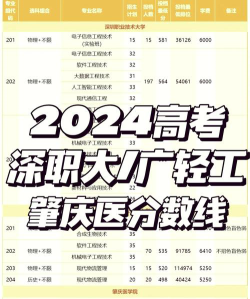 肇庆医学院2024年在贵州录取分数线、对应位次