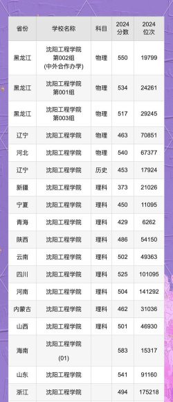 沈阳工程学院2024年在重庆各专业录取分数线