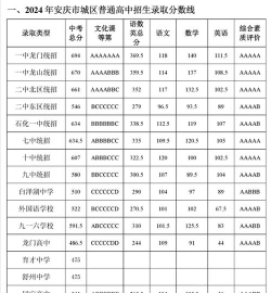 安庆市宜城科技学校2024年分数线