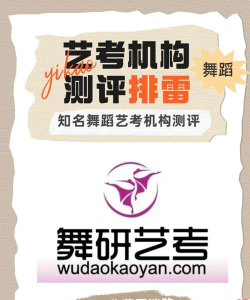 北京寰亚艺考和舞研哪个好