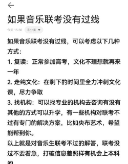 音乐生文化课没过线怎么办