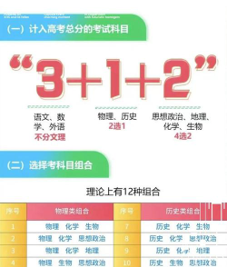 新高考怎么选课合适
