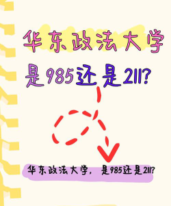华东政法大学是985还是211