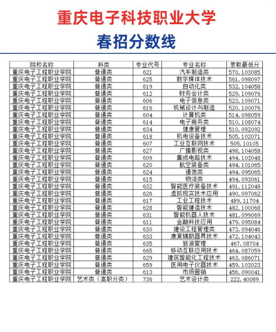 2024年重庆电子科技职业大学在山东录取分数线