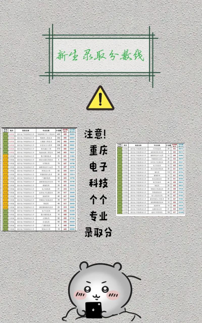 2024年重庆电子科技职业大学在福建录取分数线
