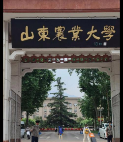 山东农业大学是211吗
