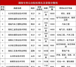 2024年湖南民办职业学校有哪些