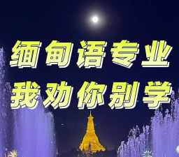 哪些大学有缅甸语专业