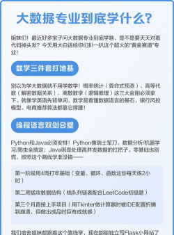 大数据专业学什么