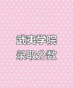 2024年武夷学院在云南录取分数线