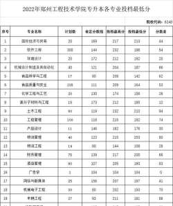 2024年郑州工程技术学院在安徽录取分数线