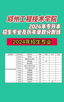 郑州工程技术学院2024年在广东录取分数线、对应位次