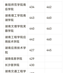 湖南财政经济学院2024年在重庆各专业录取分数线