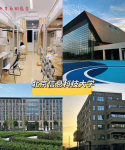 北京信息科技大学有专科吗