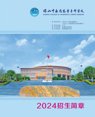 2024年保山排名前七的公办中职学校名单