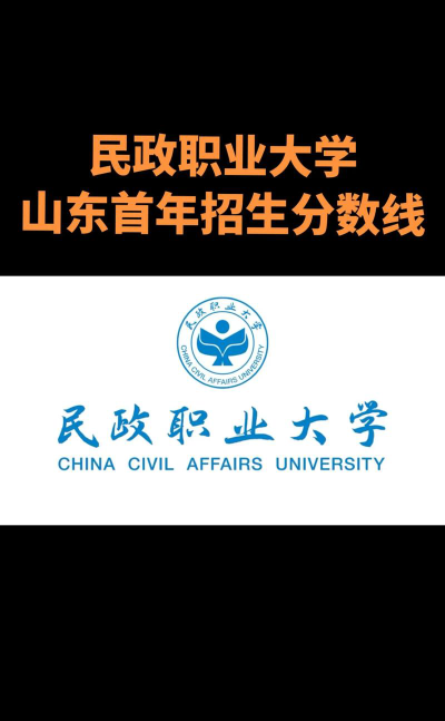 民政职业大学2024年在山东各专业录取分数线