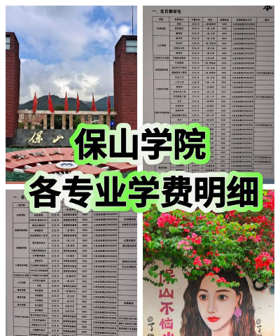 2024年保山学院在河南录取分数线