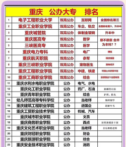 2024年重庆公办计算机学校有哪些