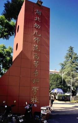 2024年武汉民办幼师学校有哪些