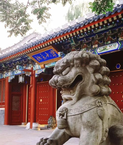 2024年北京公办建筑学校有哪些