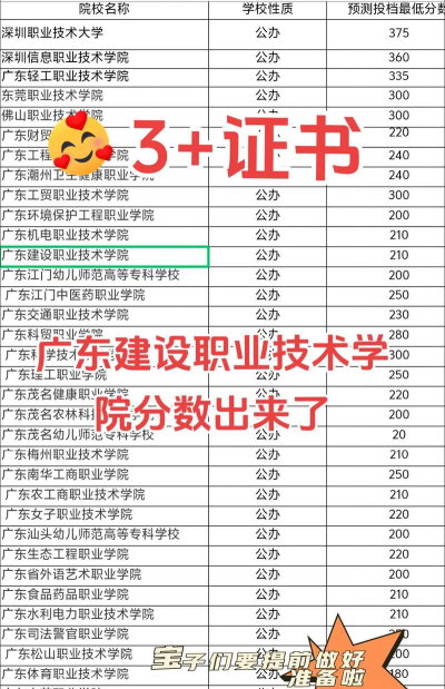 广东建设职业技术学院2024年在贵州录取分数线、对应位次