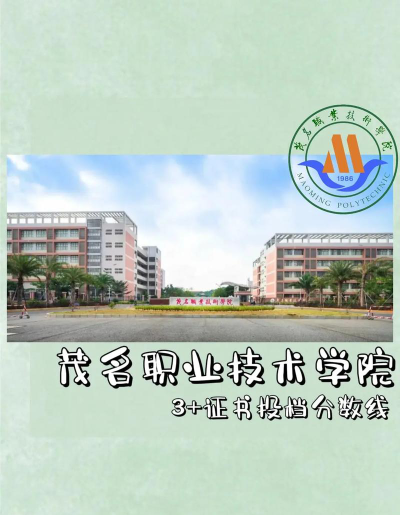 茂名职业技术学院2024年在贵州录取分数线、对应位次