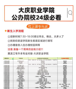 大庆职业学院2024年在湖南录取分数线、对应位次
