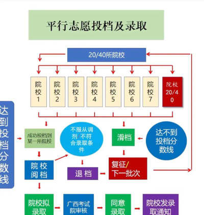专业平行志愿如何投档