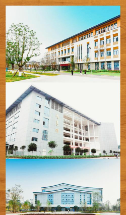2024年宜宾公办广告设计学校有哪些