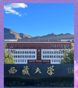 西藏高考499分能上的大学有哪些？