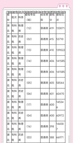 湖北职业技术学院2024年在广东录取分数线、对应位次