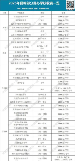 2024年昆明排名前八的电子商务学校名单
