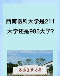 西南医科大学是虚假大学吗