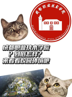 成都职业技术学院是专科吗