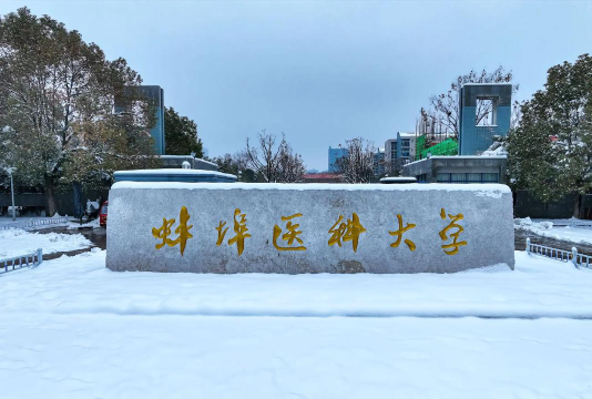 蚌埠医学院是虚假大学吗