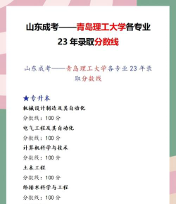 2023年青岛理工大学中外合作分数线