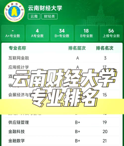 云南财经大学有哪些专业