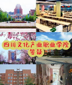 四川文化产业职业学院的学校代码是什么