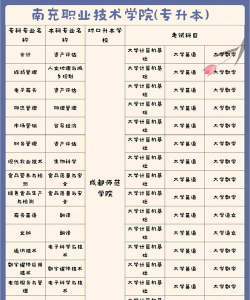 南充职业技术学院的学校代码是什么