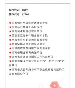 湖南科技职业学院的学校代码是什么