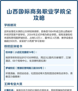 山西国际商务职业学院的学校代码是什么