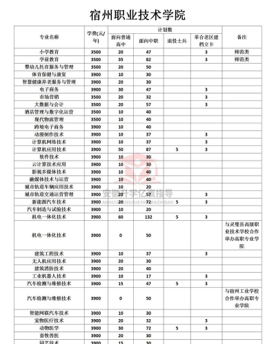 宿州职业技术学院的学校代码是什么
